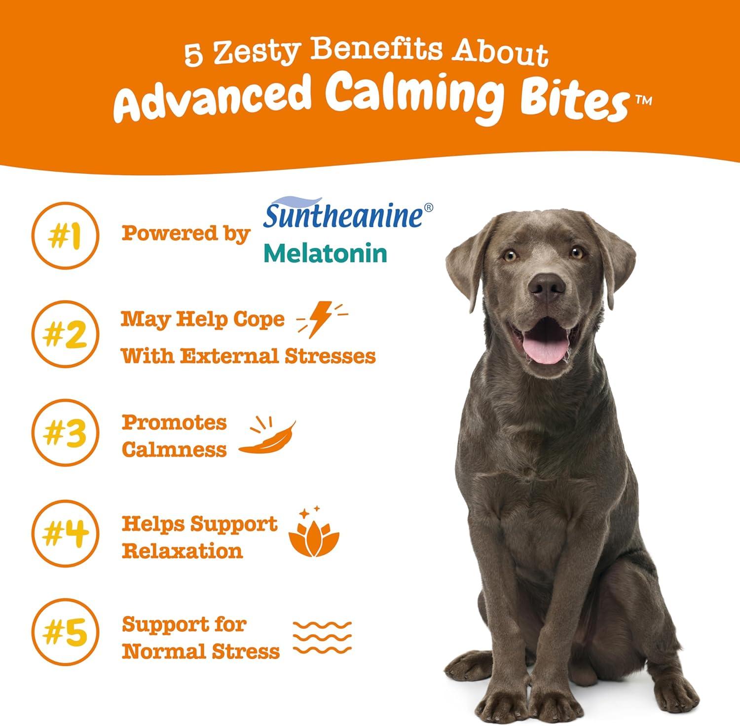 imageZesty Paws Advanced Calming Chews for Dogs  for Everyday Stress Relaxation Composure and Separation Turkey 90 CountTurkey  Melatonin