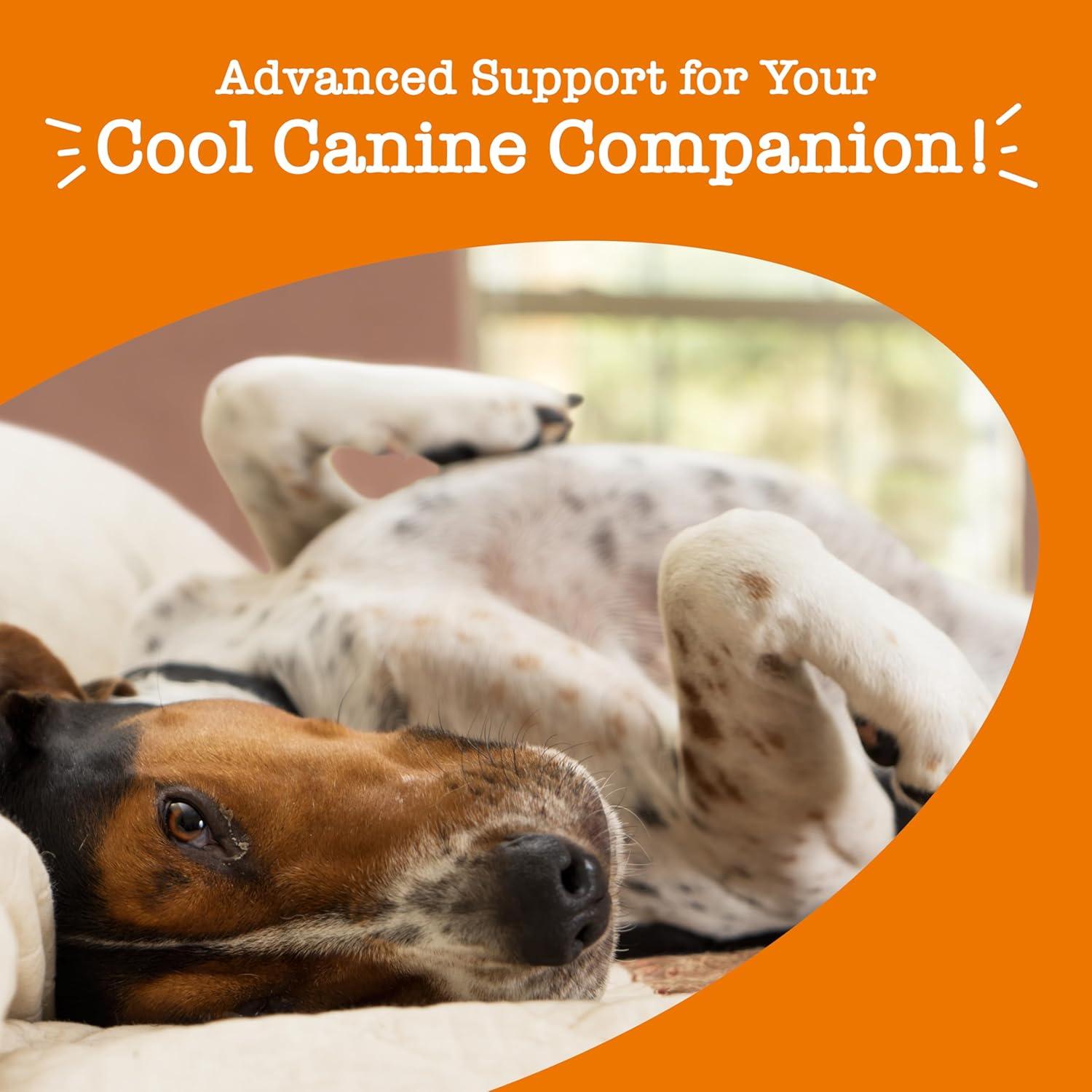imageZesty Paws Advanced Calming Chews for Dogs  for Everyday Stress Relaxation Composure and Separation Turkey 90 CountTurkey  Melatonin