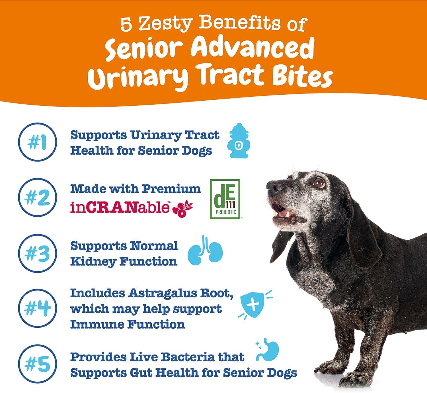 imageZesty Paws Cranberry Supplement for Dogs  Bladder Control for Dogs  Urinary Tract Support  Cranberry Chews  Immune ampamp Gut Support  Chicken  90 CountAdvanced  Chicken