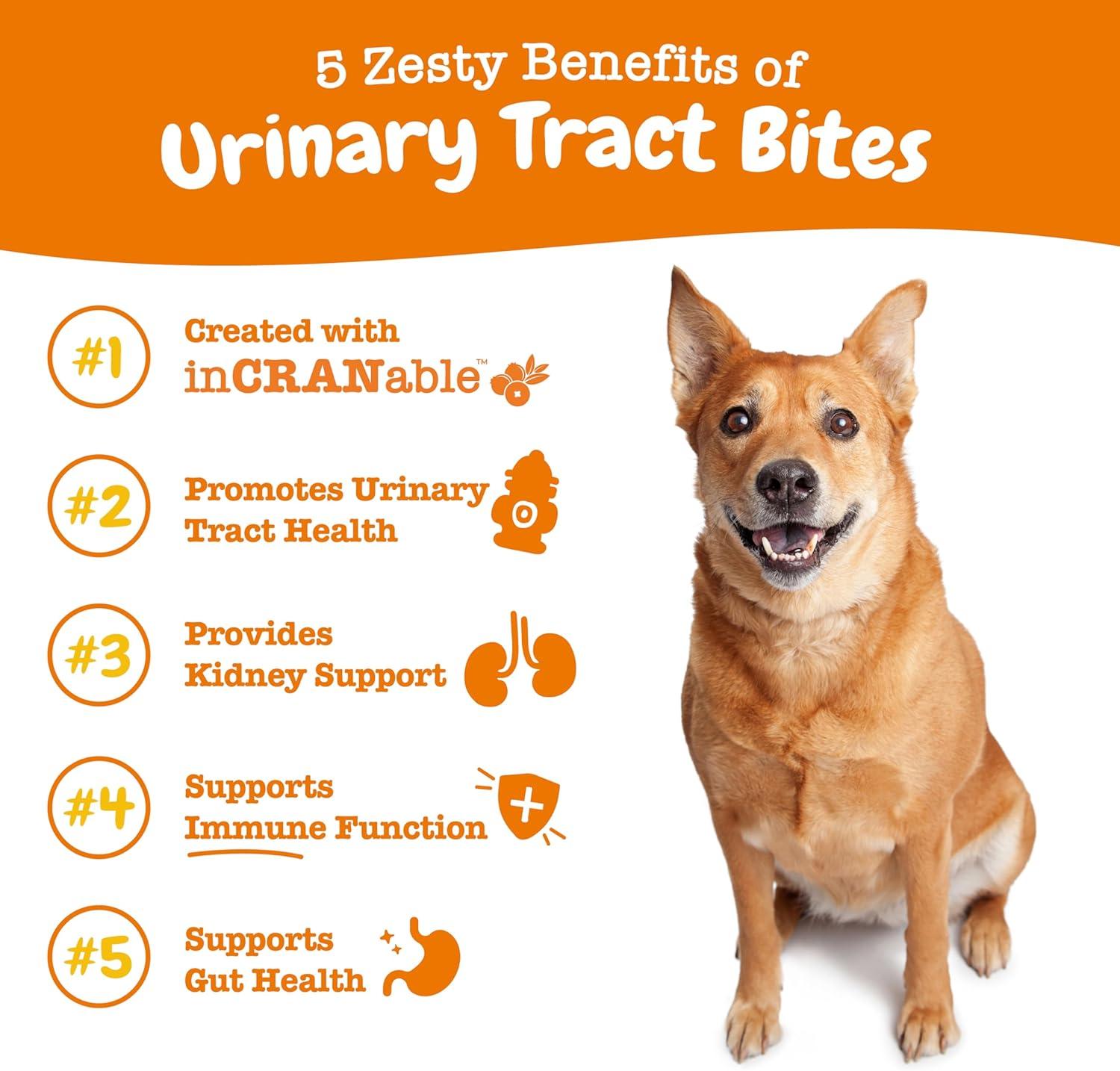 imageZesty Paws Cranberry Supplement for Dogs  Bladder Control for Dogs  Urinary Tract Support  Cranberry Chews  Immune ampamp Gut Support  Chicken  90 CountChicken