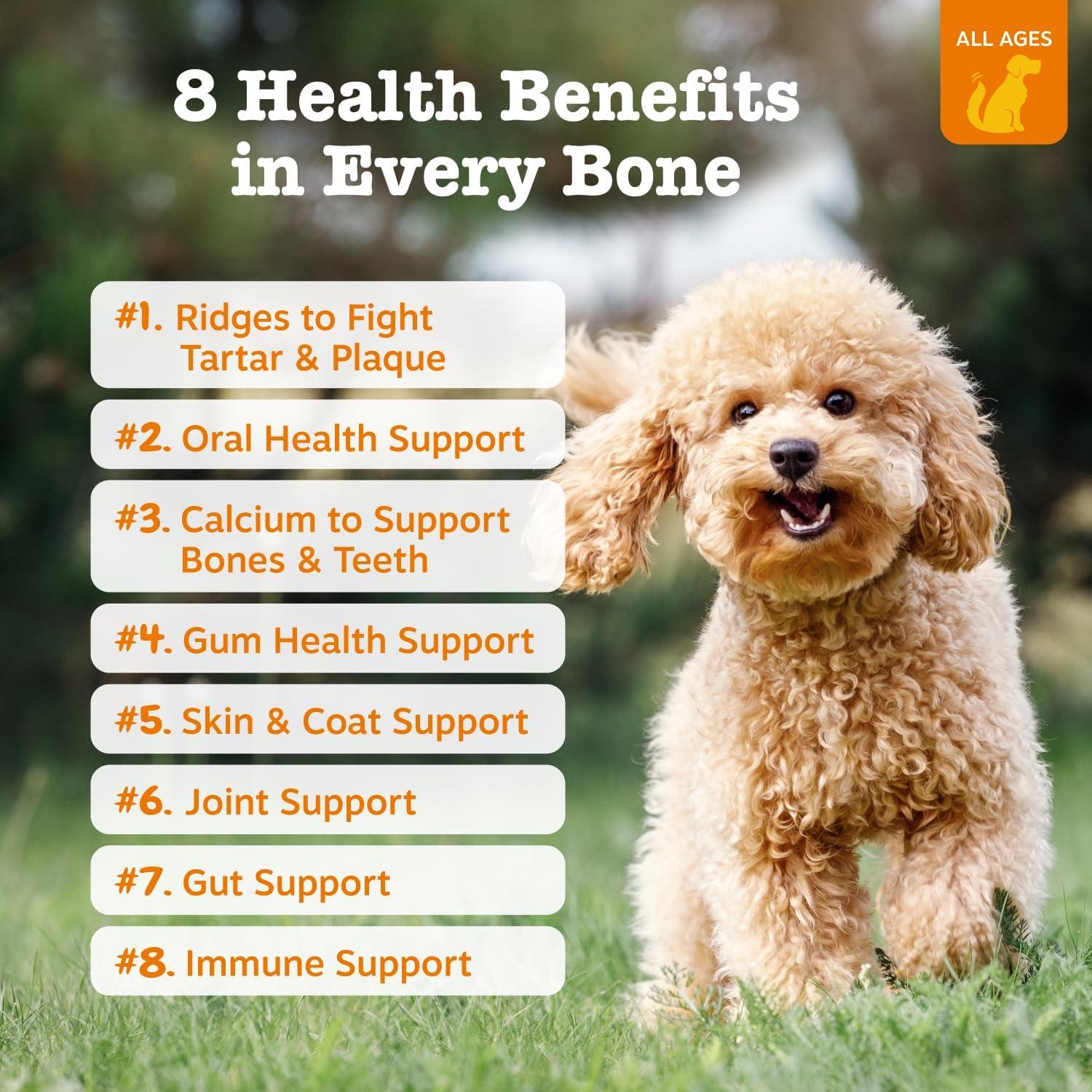 imageZesty Paws Dental Bones  Fights Tartar ampamp Plaque  Gum Teeth ampamp Bone Health  Cinnamon for Dog Breath  Immune Joint Gut Skin ampamp Coat Support  Omega 3 EPA ampamp DHA and Calcium  Large Dogs  24 ct8 Count