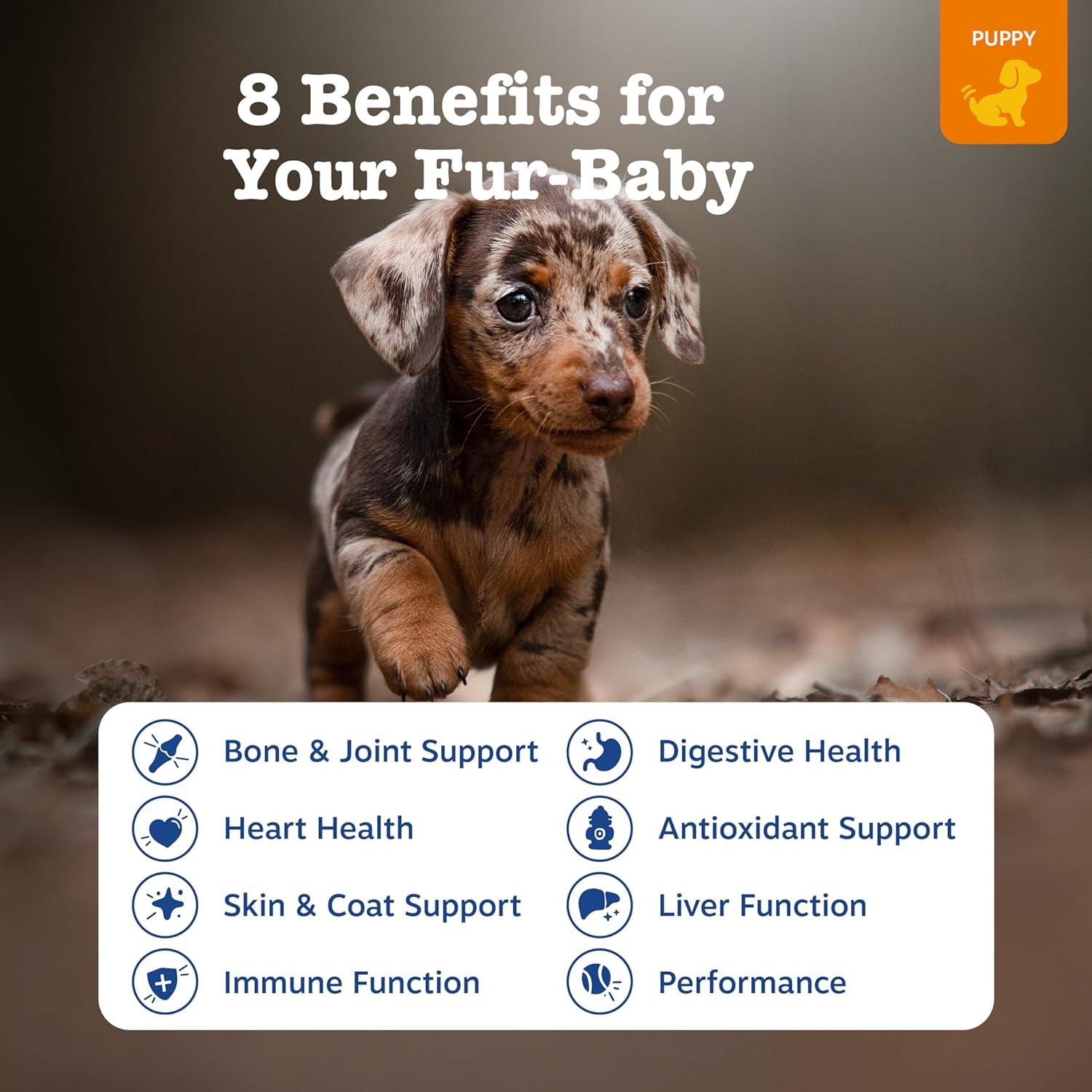 imageZesty Paws Dog Multivitamin Chewable Dog Vitamins and Supplements for Hip ampamp Joints Skin ampamp Coat Omega 3 Fish Oil for Dogs Senior ampamp Puppy Multivitamin  Bison 90ctChicken  Puppy Bites