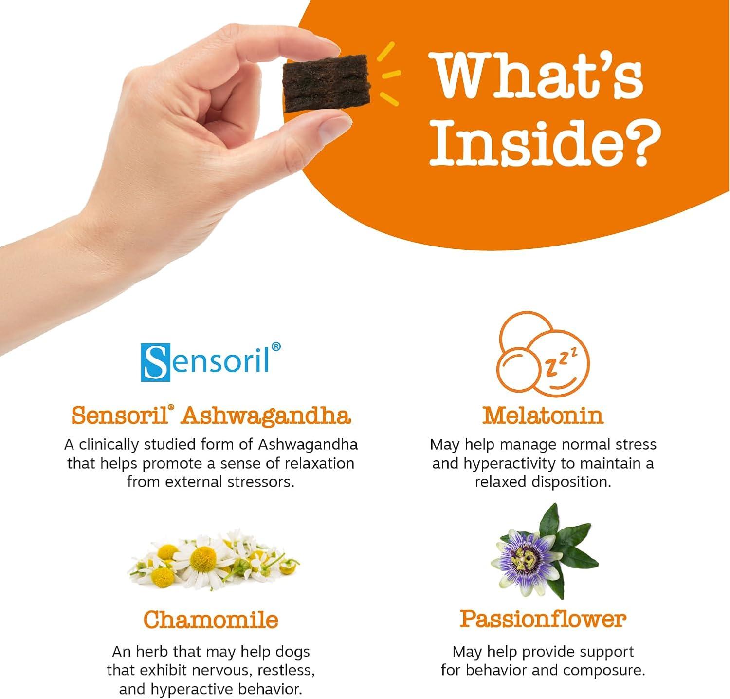imageZesty Paws Flavored Soft Chews  Calming for Dogs Anxiety Composure Relief with Ashwagandha Melatonin Chamomile Passionflower Dog Stress Separation Aid for Fireworks and Thunder 20 ozChicken