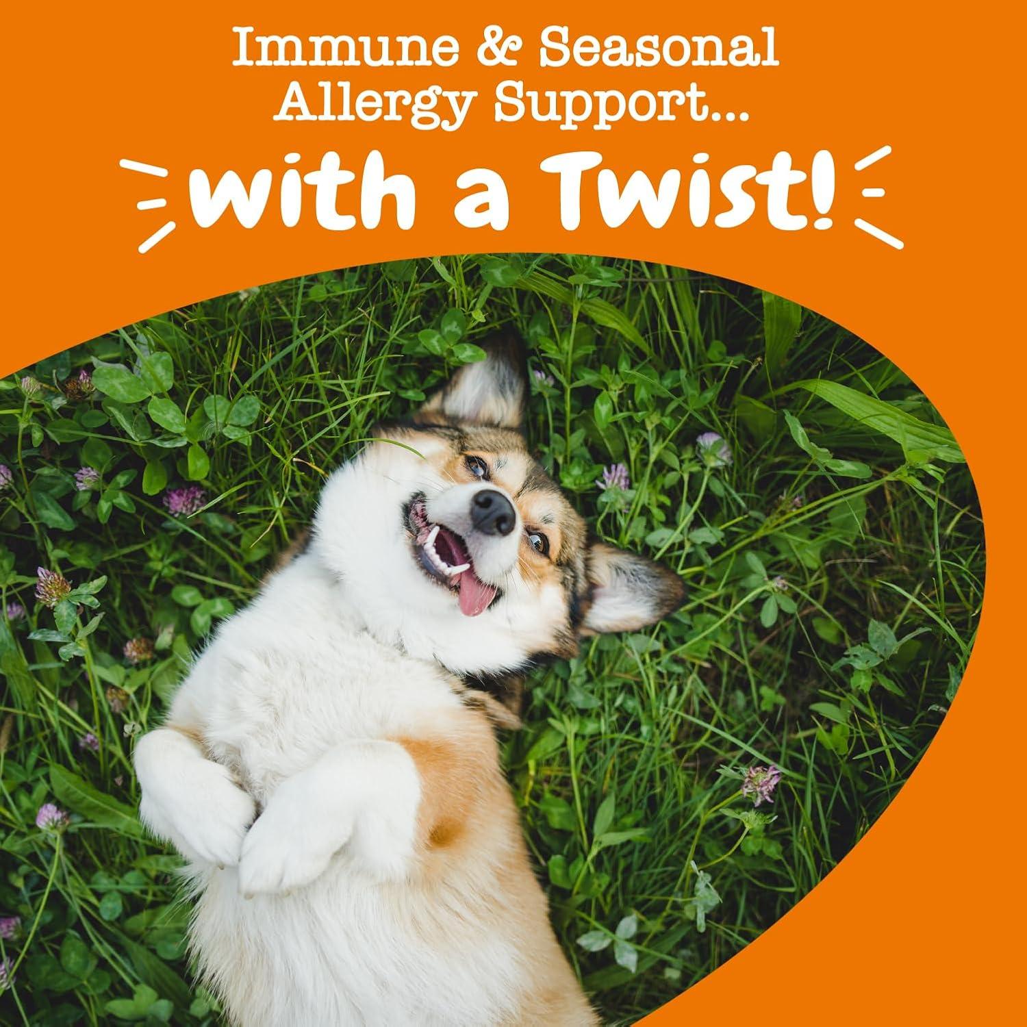 imageZesty Paws OraStix for Dogs  AllerImmune Sticks with Hemp Seed Turmeric EpiCor Pets Fish Oil Supports Immune Function Seasonal Allergies Skin Health Healthy Teeth Gum Blend 25oz
