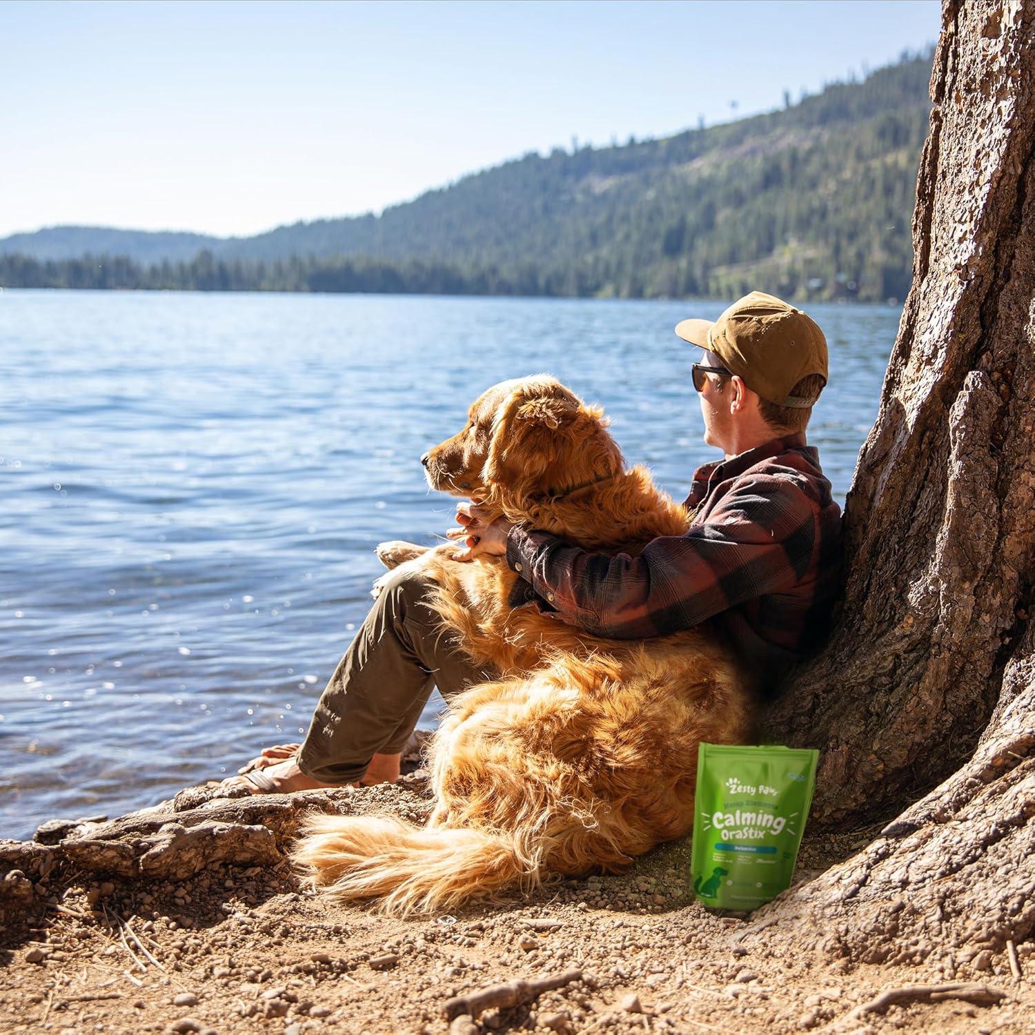 imageZesty Paws OraStix for Dogs  Calming Dental Sticks for Stress with Hemp Melatonin Chamomile Dog Healthy Teeth and Gums Calm Composure for Fireworks and Thunderstorms  25ozPeppermint
