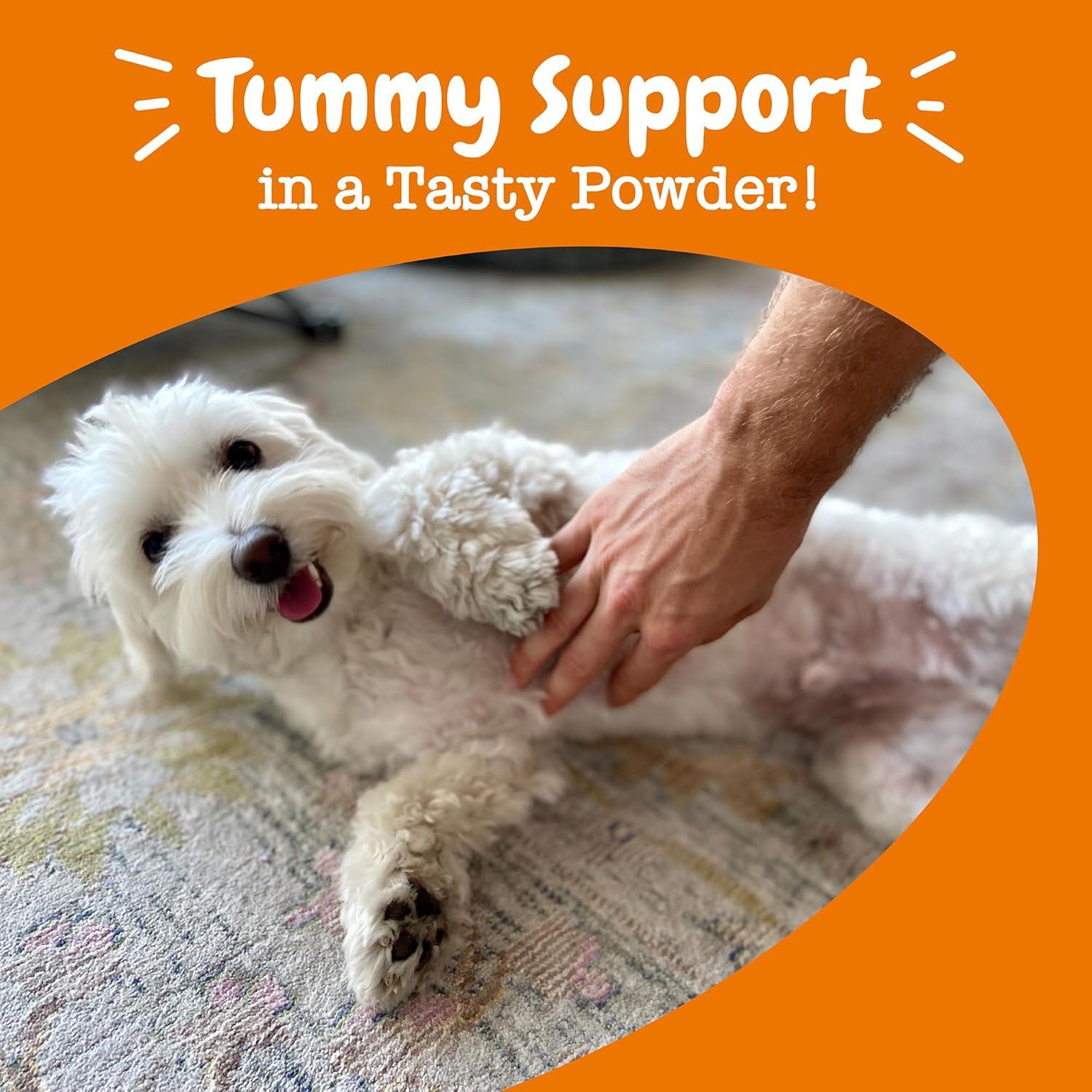 imageZesty Paws Probiotics for Dogs Digestive Enzymes Gut Flora Digestive Health Diarrhea ampamp Bowel Support DE111 Dog Probiotics Soft Chew for Pet Immune System Chicken 90 CtDog  Pumpkin