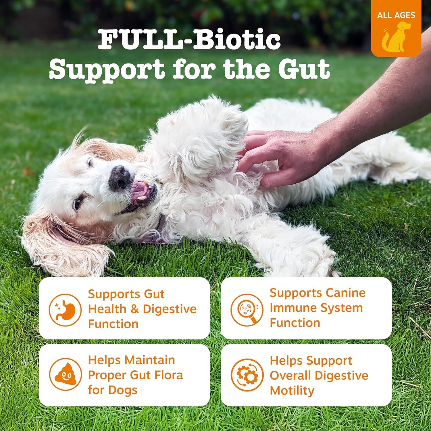 imageZesty Paws Probiotics for Dogs Digestive Enzymes Gut Flora Digestive Health Diarrhea ampamp Bowel Support DE111 Dog Probiotics Soft Chew for Pet Immune System Chicken 90 CtChicken  Vegetable