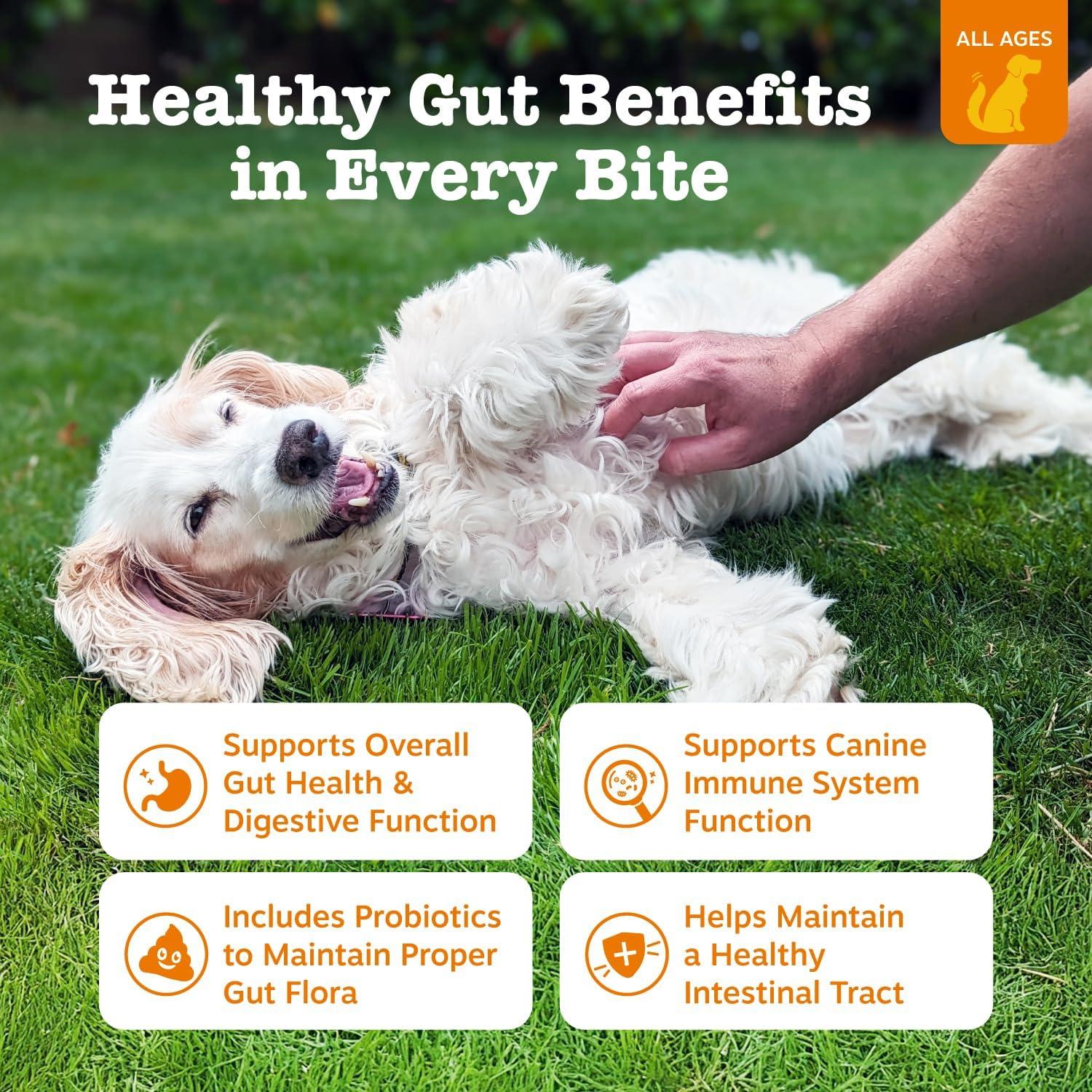 imageZesty Paws Probiotics for Dogs Digestive Enzymes Gut Flora Digestive Health Diarrhea ampamp Bowel Support DE111 Dog Probiotics Soft Chew for Pet Immune System Chicken 90 CtBison