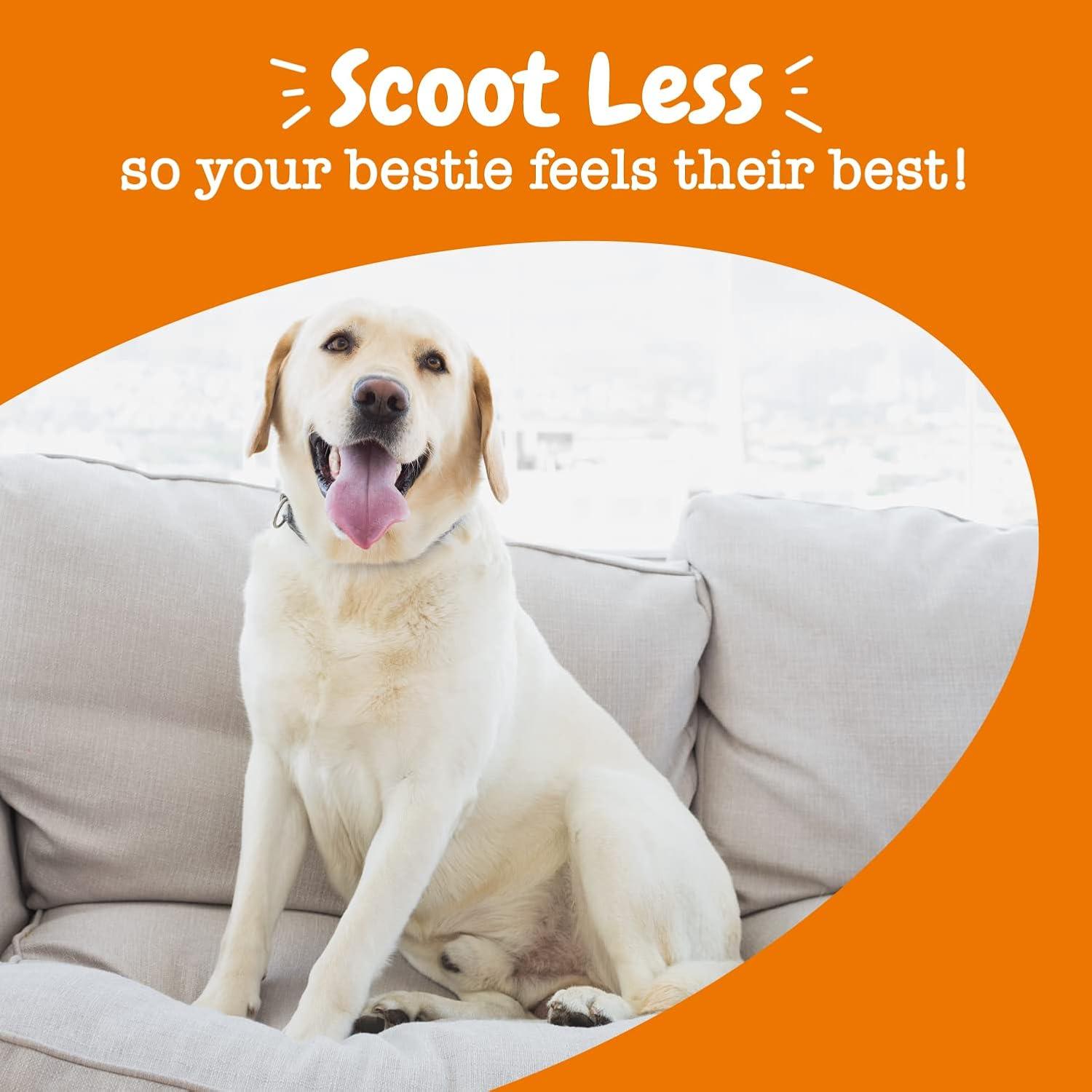 imageZesty Paws Scoot Away Soft Chews  Healthy Bowel Function with Bromelain Vita Fiber for Dogs ampamp Dandelion Root for Dog Digestive Support and Gut Health  90 Soft ChewsChicken