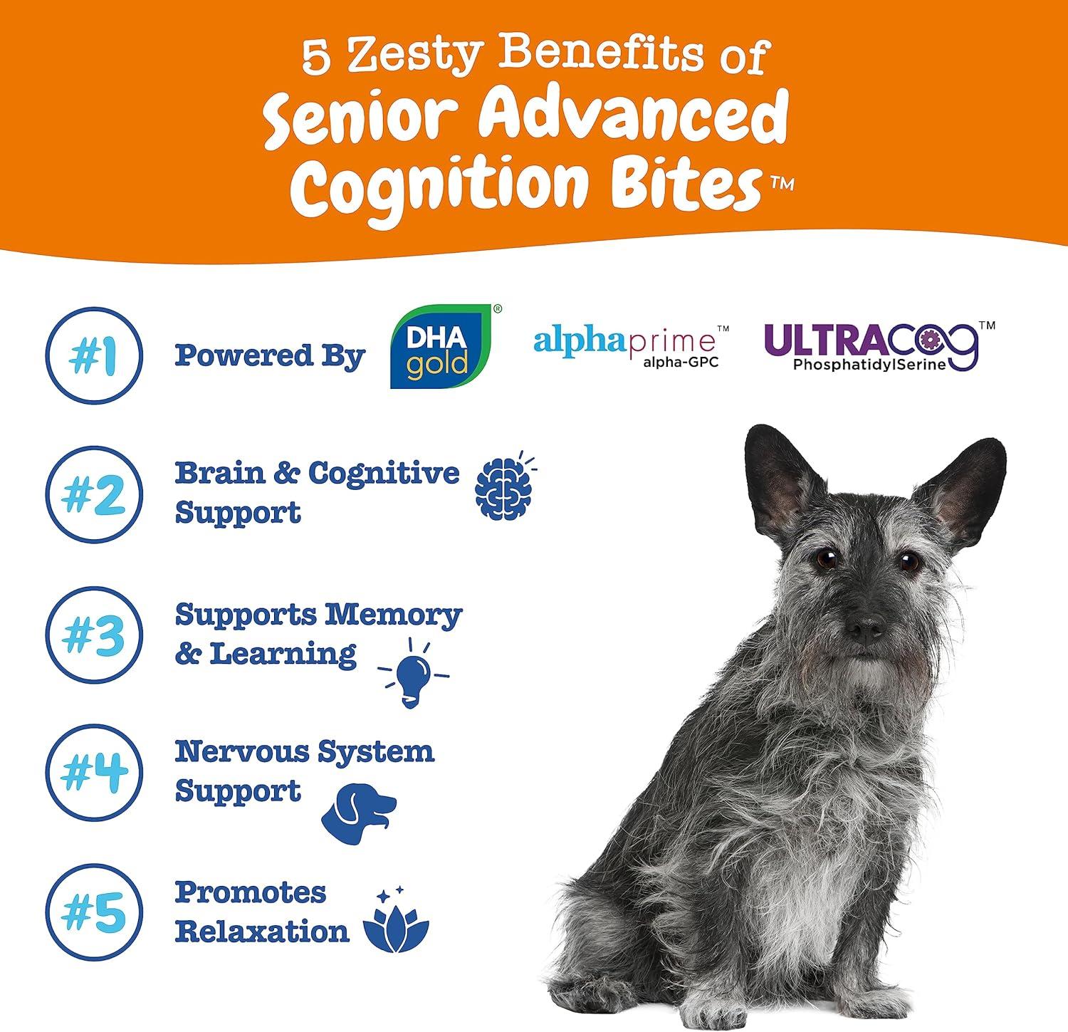 imageZesty Paws Senior Advanced Calming ampamp Cognition Soft Chews for Dogs  Supplements for Dog Brain Health ampamp Nervous System Support  Calming ampamp Relaxation with Ashwagandha DHA ampamp MelatoninCognition