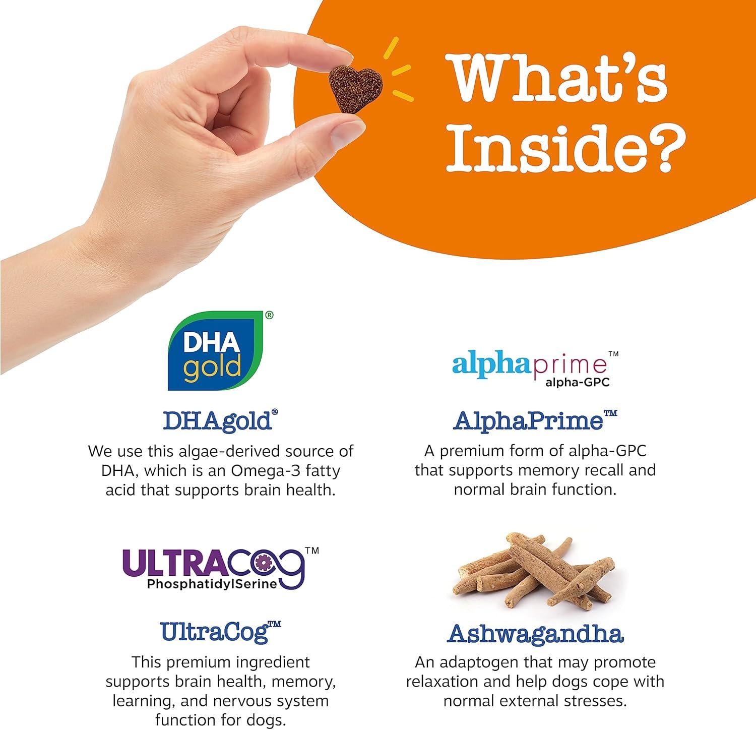imageZesty Paws Senior Advanced Calming ampamp Cognition Soft Chews for Dogs  Supplements for Dog Brain Health ampamp Nervous System Support  Calming ampamp Relaxation with Ashwagandha DHA ampamp MelatoninCognition