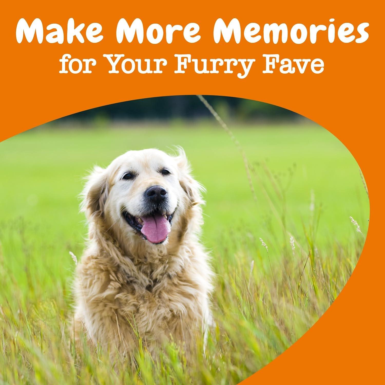 imageZesty Paws Senior Advanced Calming ampamp Cognition Soft Chews for Dogs  Supplements for Dog Brain Health ampamp Nervous System Support  Calming ampamp Relaxation with Ashwagandha DHA ampamp MelatoninCognition