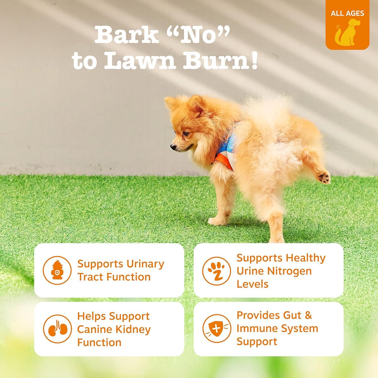 imageZesty Paws Stay Green Bites for Dogs  Grass Burn Soft Chews for Lawn Spots Caused by Dog Urine  with Cranberry for Urinary Tract ampamp Bladder  Beef  90 CountChicken