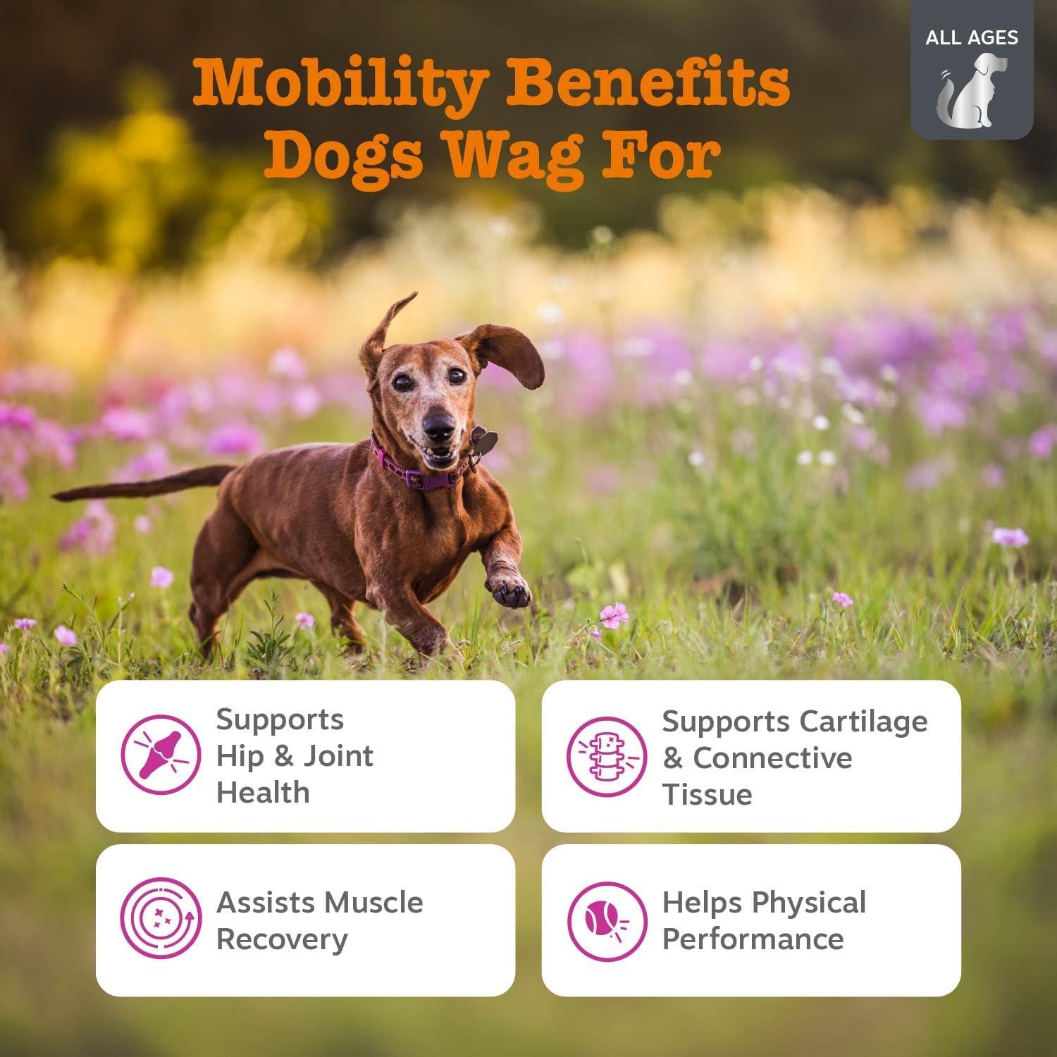 imageZesty Paws Vet Strength Mobility Bites Beef ampamp Bacon Flavor Hip ampamp Joint Support Chews for Dogs with Glucosamine Chondroitin MSM Hyaluronic Acid ampamp Serrazimes  90 CountBeef  Bacon  Vet Strength