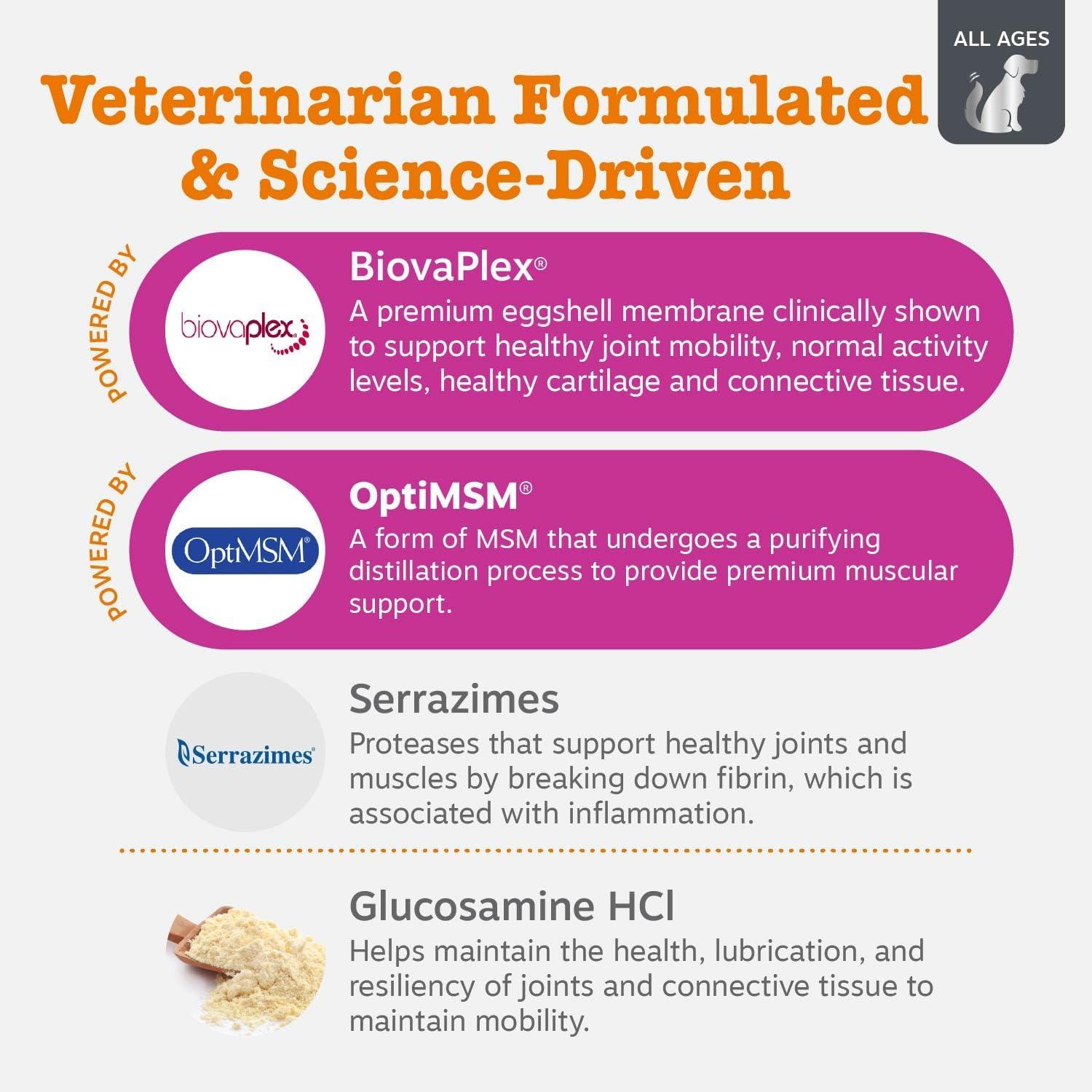 imageZesty Paws Vet Strength Mobility Bites Beef ampamp Bacon Flavor Hip ampamp Joint Support Chews for Dogs with Glucosamine Chondroitin MSM Hyaluronic Acid ampamp Serrazimes  90 CountBeef  Bacon  Vet Strength