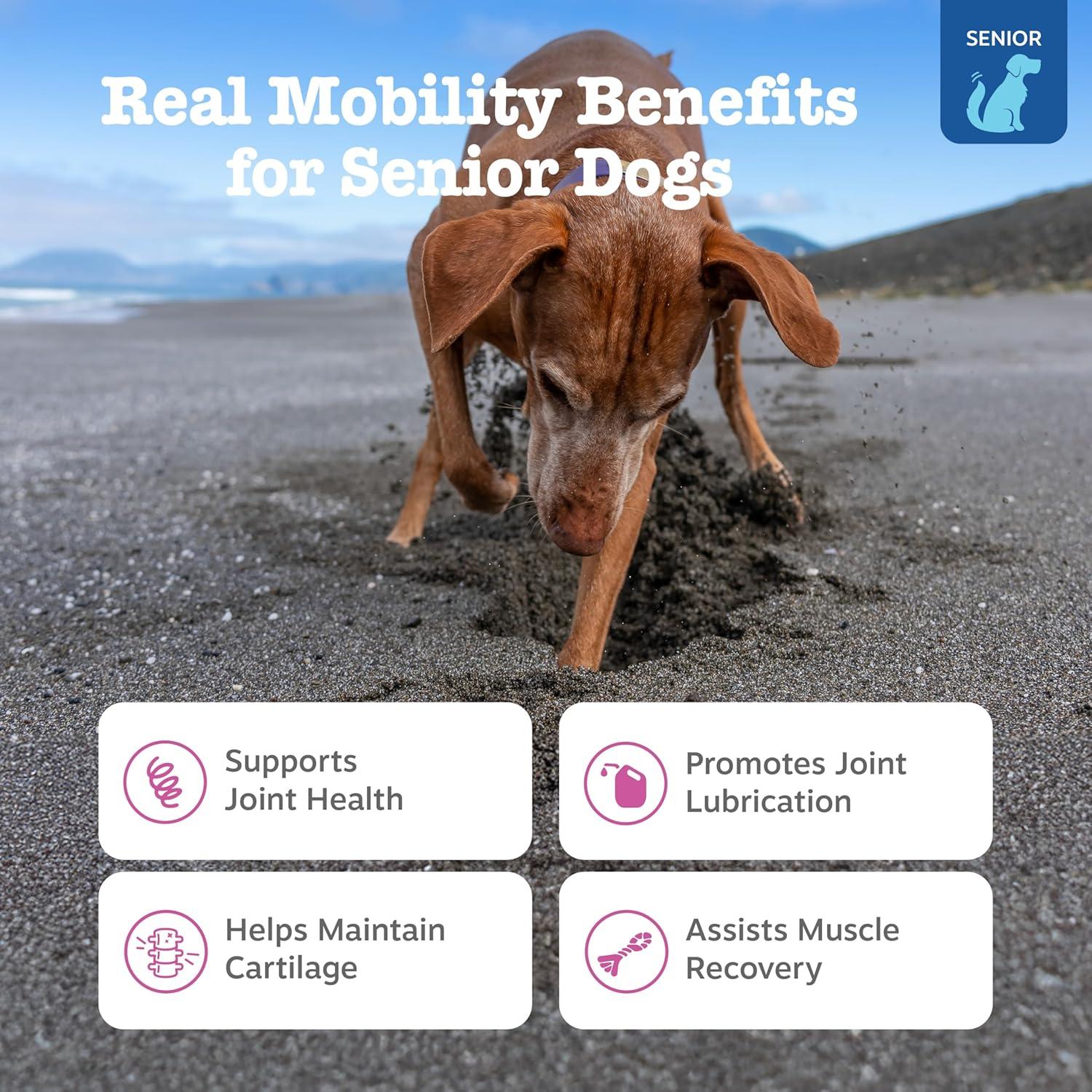 imageZesty Paws Vet Strength Mobility Bites Beef ampamp Bacon Flavor Hip ampamp Joint Support Chews for Dogs with Glucosamine Chondroitin MSM Hyaluronic Acid ampamp Serrazimes  90 CountChicken