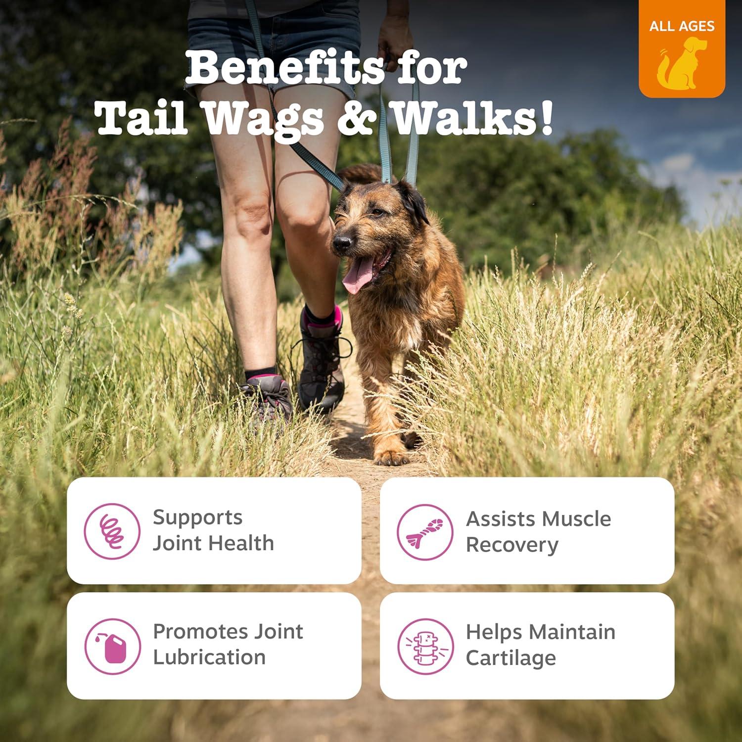 imageZesty Paws Vet Strength Mobility Bites Beef ampamp Bacon Flavor Hip ampamp Joint Support Chews for Dogs with Glucosamine Chondroitin MSM Hyaluronic Acid ampamp Serrazimes  90 CountBacon