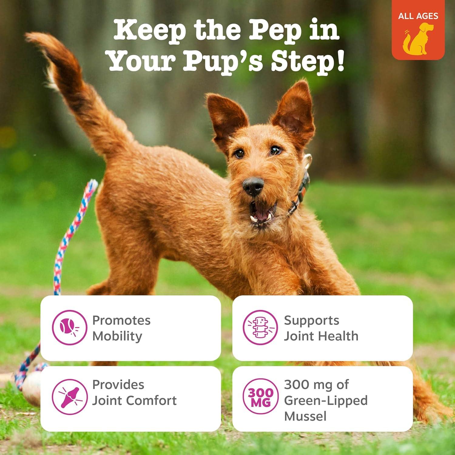 imageZesty Paws Vet Strength Mobility Bites Beef ampamp Bacon Flavor Hip ampamp Joint Support Chews for Dogs with Glucosamine Chondroitin MSM Hyaluronic Acid ampamp Serrazimes  90 CountChicken  Mussel