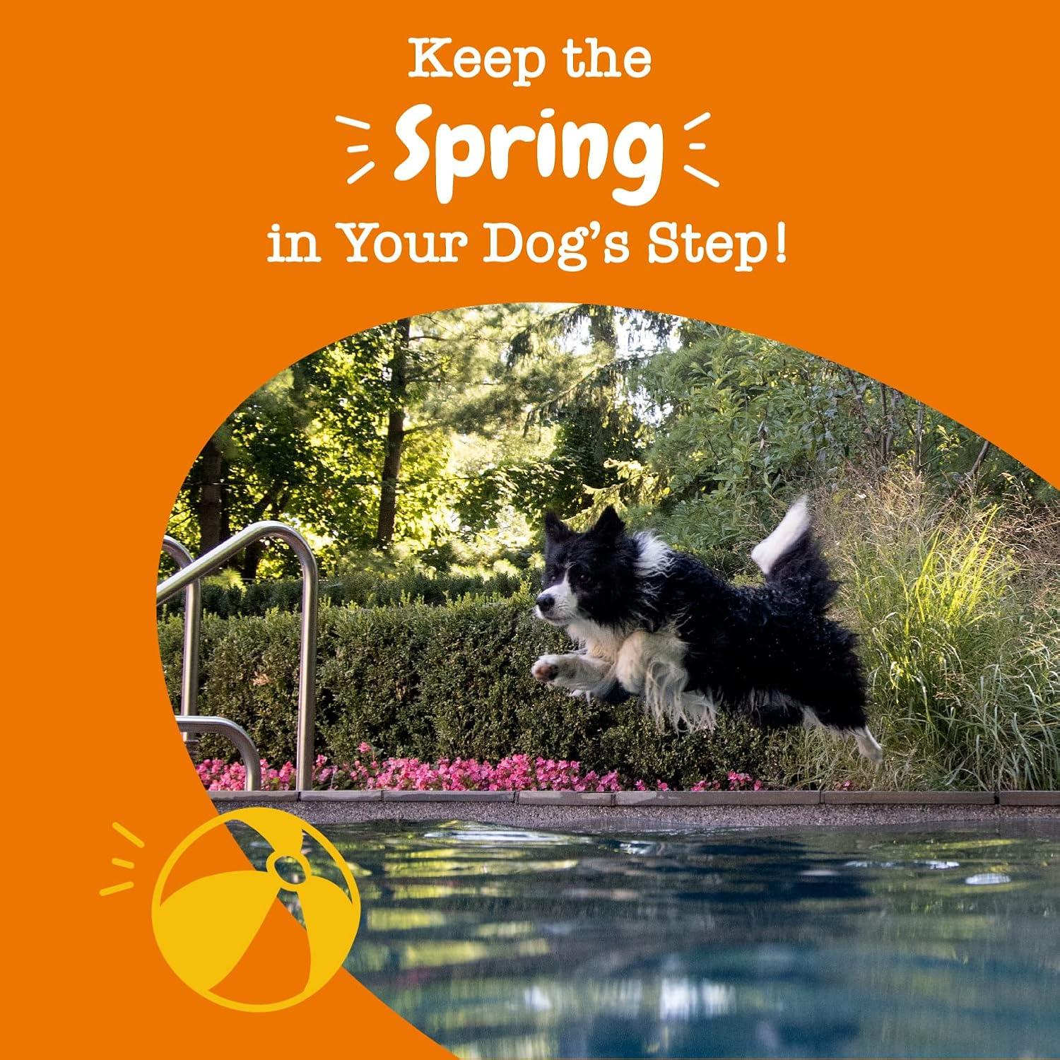 imageZesty Paws Vet Strength Mobility Bites Beef ampamp Bacon Flavor Hip ampamp Joint Support Chews for Dogs with Glucosamine Chondroitin MSM Hyaluronic Acid ampamp Serrazimes  90 CountBacon