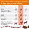 imageZesty Paws Advanced Calming Chews for Dogs  for Everyday Stress Relaxation Composure and Separation Turkey 90 CountBison
