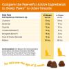 imageZesty Paws Advanced Calming Chews for Dogs  for Everyday Stress Relaxation Composure and Separation Turkey 90 CountCat  Bacon