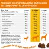 imageZesty Paws Advanced Calming Chews for Dogs  for Everyday Stress Relaxation Composure and Separation Turkey 90 CountPeanut Butter