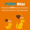 imageZesty Paws Advanced Calming Chews for Dogs  for Everyday Stress Relaxation Composure and Separation Turkey 90 CountTurkey  Puppy