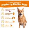 imageZesty Paws Cranberry Supplement for Dogs  Bladder Control for Dogs  Urinary Tract Support  Cranberry Chews  Immune ampamp Gut Support  Chicken  90 CountBacon
