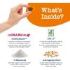 imageZesty Paws Cranberry Supplement for Dogs  Bladder Control for Dogs  Urinary Tract Support  Cranberry Chews  Immune ampamp Gut Support  Chicken  90 CountAdvanced  Chicken