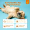 imageZesty Paws Probiotics for Dogs Digestive Enzymes Gut Flora Digestive Health Diarrhea ampamp Bowel Support DE111 Dog Probiotics Soft Chew for Pet Immune System Chicken 90 CtPumpkin  Puppy