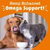 imageZesty Paws Salmon Omega Oil Hemp for Dogs and Cats with Wild Alaskan Salmon Oil Omega 3 and 6 Fatty Acids with EPA DHA for Pets Supports Normal Skin Moisture and Immune System Function 16ozSalmon Oil  Hemp