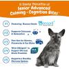 imageZesty Paws Senior Advanced Calming ampamp Cognition Soft Chews for Dogs  Supplements for Dog Brain Health ampamp Nervous System Support  Calming ampamp Relaxation with Ashwagandha DHA ampamp MelatoninCalming  Cognition