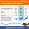 imageZesty Paws Senior Advanced Calming ampamp Cognition Soft Chews for Dogs  Supplements for Dog Brain Health ampamp Nervous System Support  Calming ampamp Relaxation with Ashwagandha DHA ampamp MelatoninCalming  Cognition