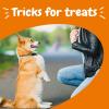 imageZesty Paws Training Treats for Dogs ampamp Puppies  Dog Treats for Training  Healthy Dog Chews for Hip Joint ampamp Muscle Health  for All Breeds and Ages  Bacon Flavor  12ozPeanut Butter