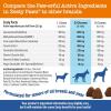 imageZesty Paws Vet Strength Mobility Bites Beef ampamp Bacon Flavor Hip ampamp Joint Support Chews for Dogs with Glucosamine Chondroitin MSM Hyaluronic Acid ampamp Serrazimes  90 CountChicken