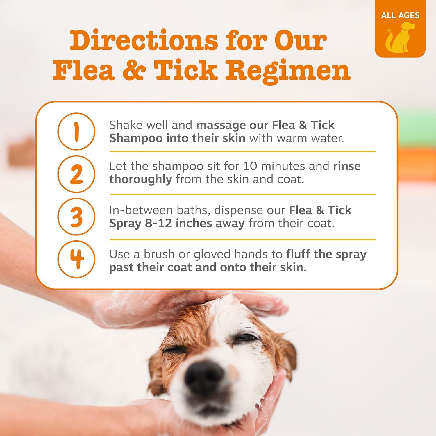 imageDog Shampoo with Oatmeal ampamp Aloe Vera  Grooming Pet Wash for Itchy ampamp Sensitive Skin  Dandruff ampamp Coat  Gentle Anti Itch Formula  Vanilla Bean Scent  16 OZSpray  Flea  Tick