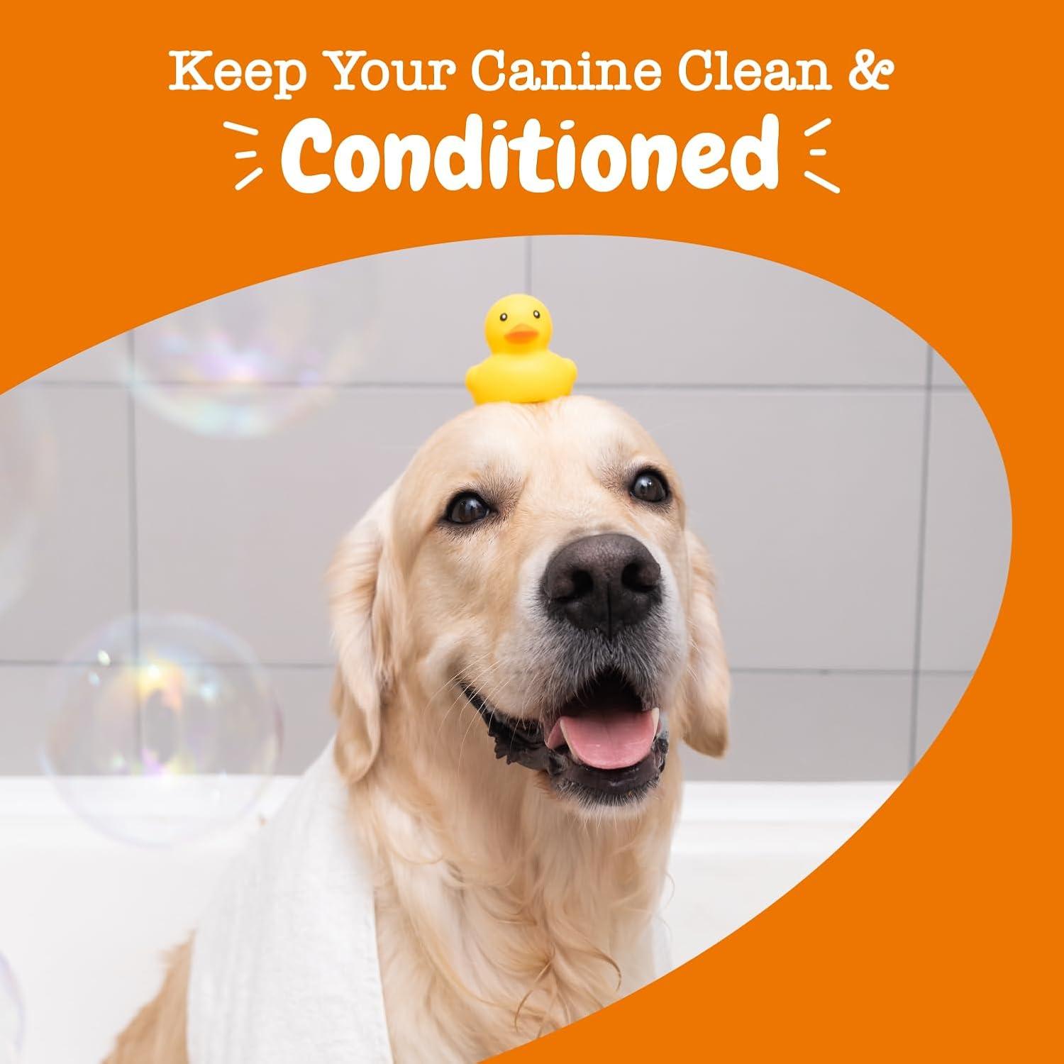 imageDog Shampoo with Oatmeal ampamp Aloe Vera  Grooming Pet Wash for Itchy ampamp Sensitive Skin  Dandruff ampamp Coat  Gentle Anti Itch Formula  Vanilla Bean Scent  16 OZConditioner