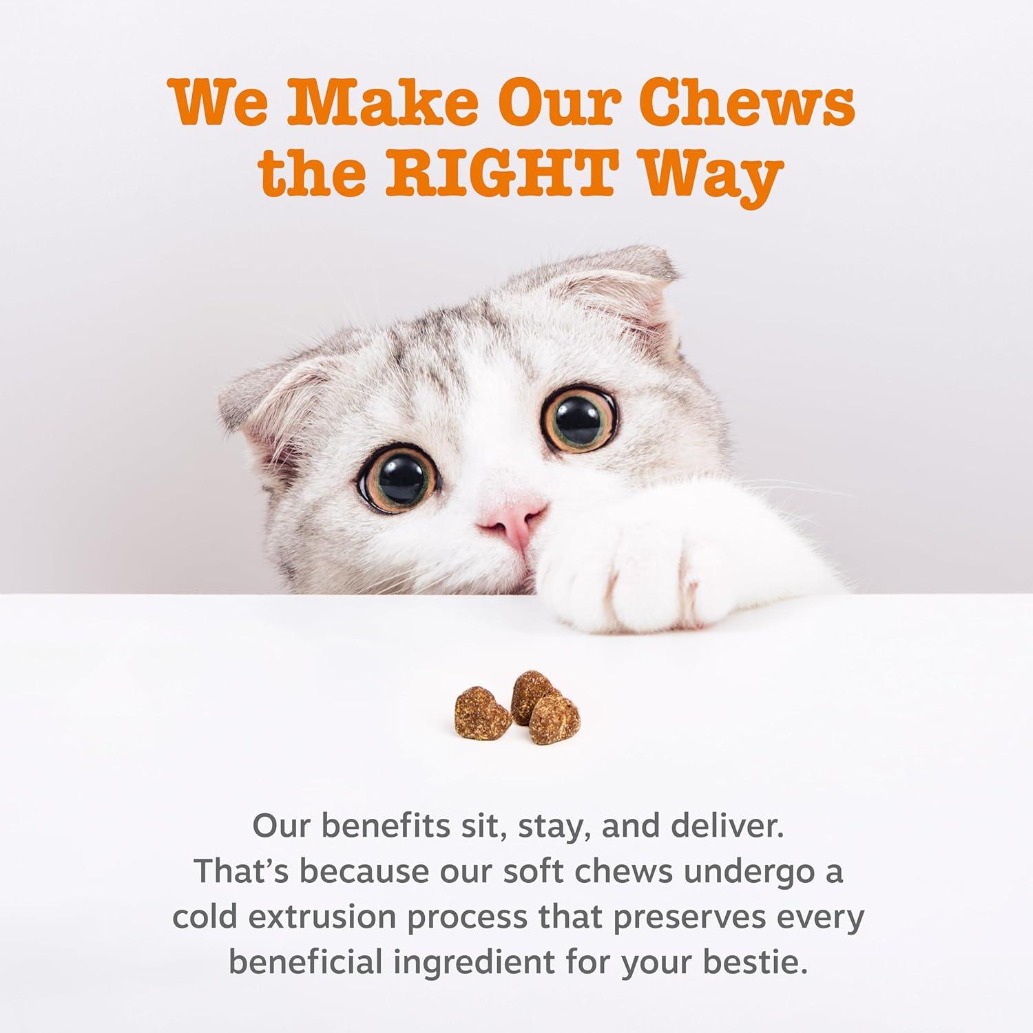 imageZesty Paws Hairball Bites for Cats  Cat Furball Support  Functional Supplement with Omega 3 Fish Oil EPA ampamp DHA  Zinc Biotin ampamp Psyllium Husk  Supports Gut ampamp Skin Health  60 CountBacon  Chews