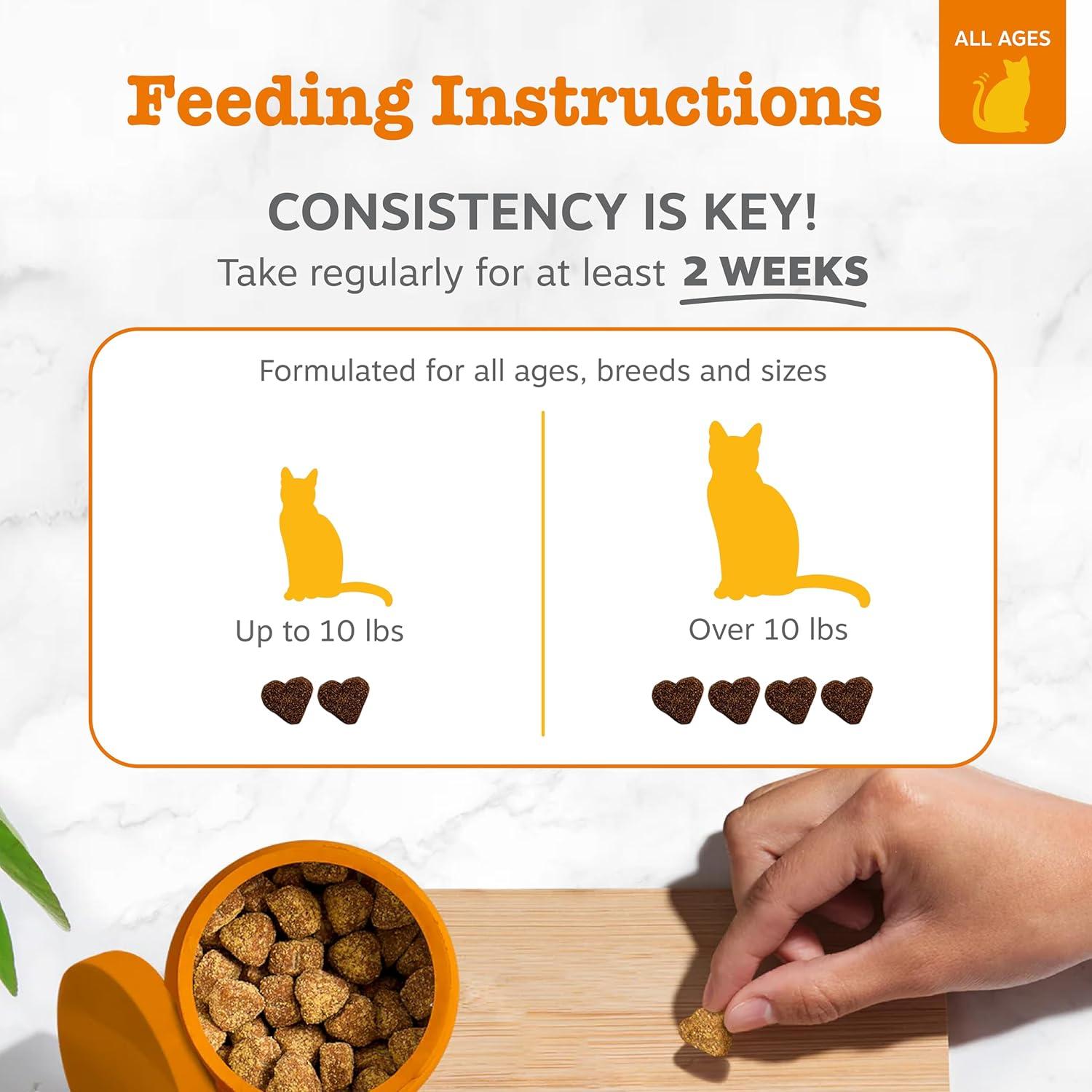 imageZesty Paws Hairball Bites for Cats  Cat Furball Support  Functional Supplement with Omega 3 Fish Oil EPA ampamp DHA  Zinc Biotin ampamp Psyllium Husk  Supports Gut ampamp Skin Health  60 CountBacon  Chews