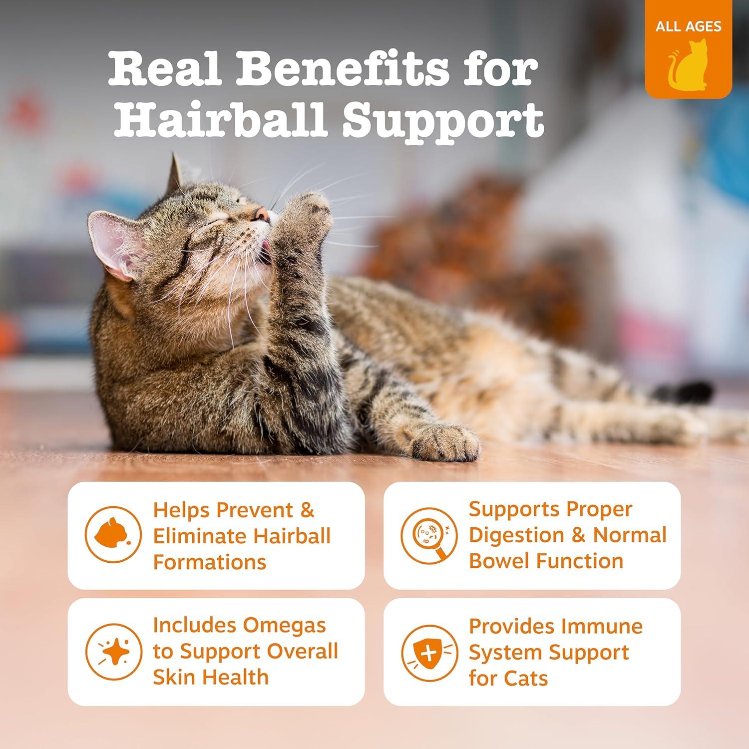 imageZesty Paws Hairball Bites for Cats  Cat Furball Support  Functional Supplement with Omega 3 Fish Oil EPA ampamp DHA  Zinc Biotin ampamp Psyllium Husk  Supports Gut ampamp Skin Health  60 CountBacon  Chews