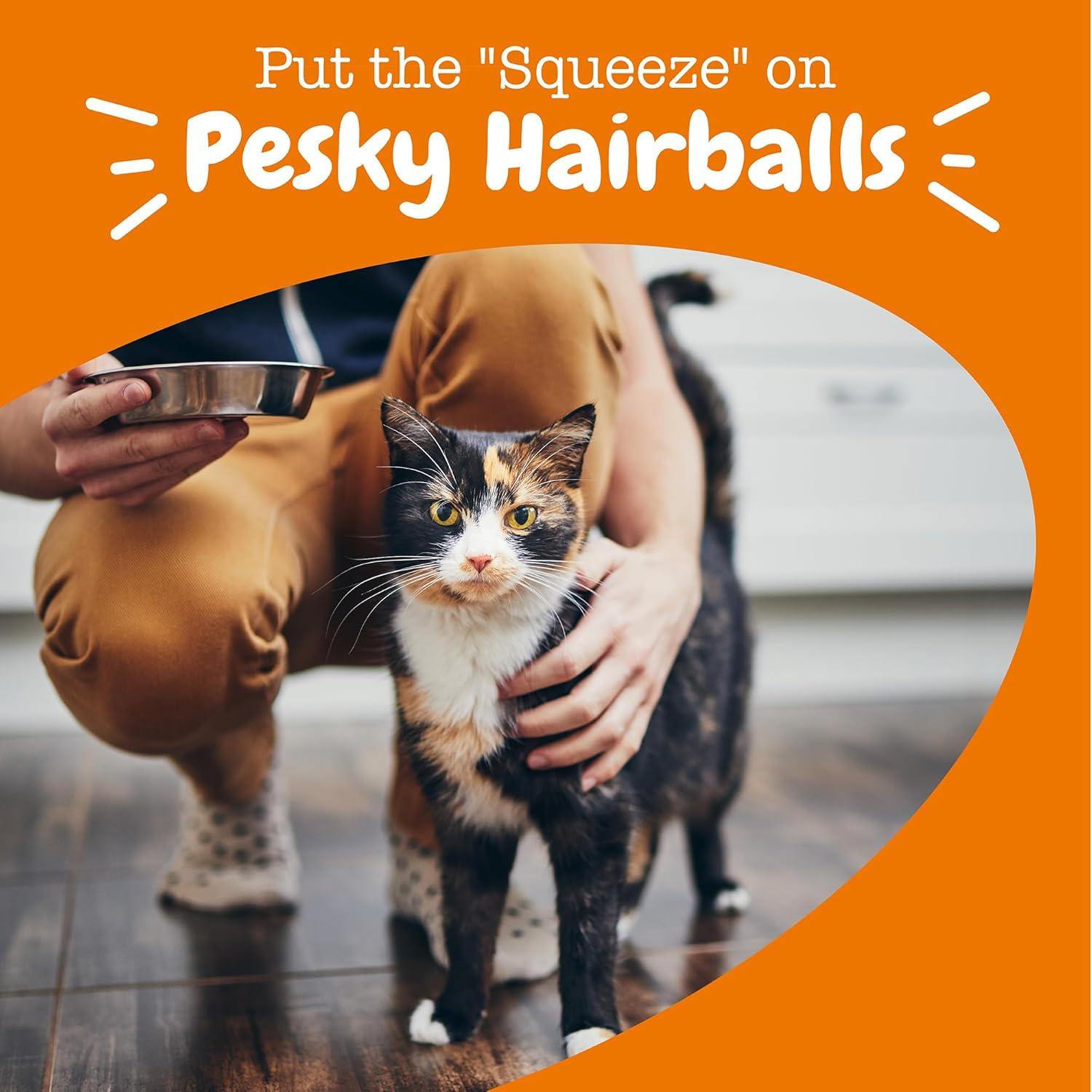 imageZesty Paws Hairball Bites for Cats  Cat Furball Support  Functional Supplement with Omega 3 Fish Oil EPA ampamp DHA  Zinc Biotin ampamp Psyllium Husk  Supports Gut ampamp Skin Health  60 CountChicken  Mousse
