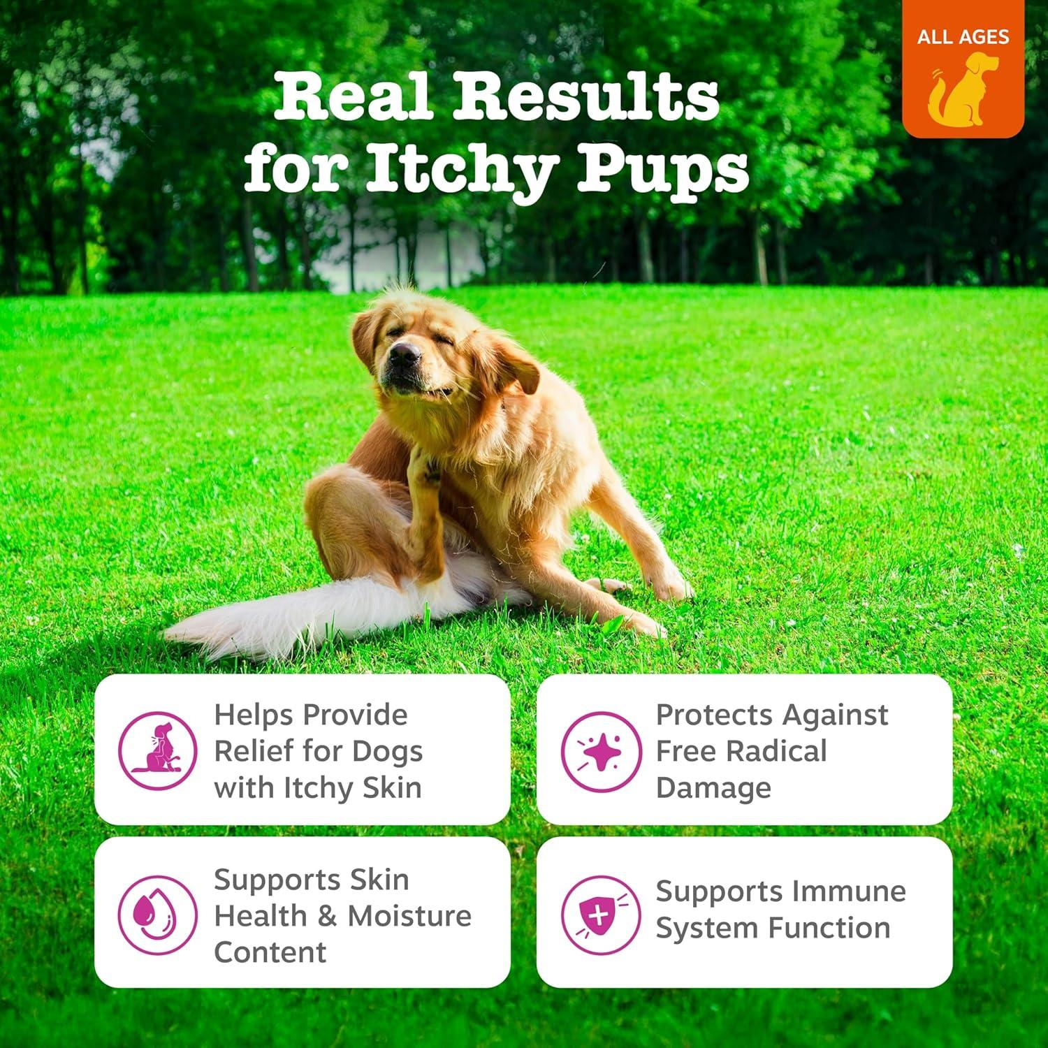 imageZesty Paws Itch Relief for Dogs  Chews for Itching Skin ampamp Coat  Omega3 Fish Oil with EPA ampamp DHA  Dog Allergy Relief Chews Supplement  Vitamin C ampamp E Antioxidant Support  Chicken Flavor  90 CountChicken
