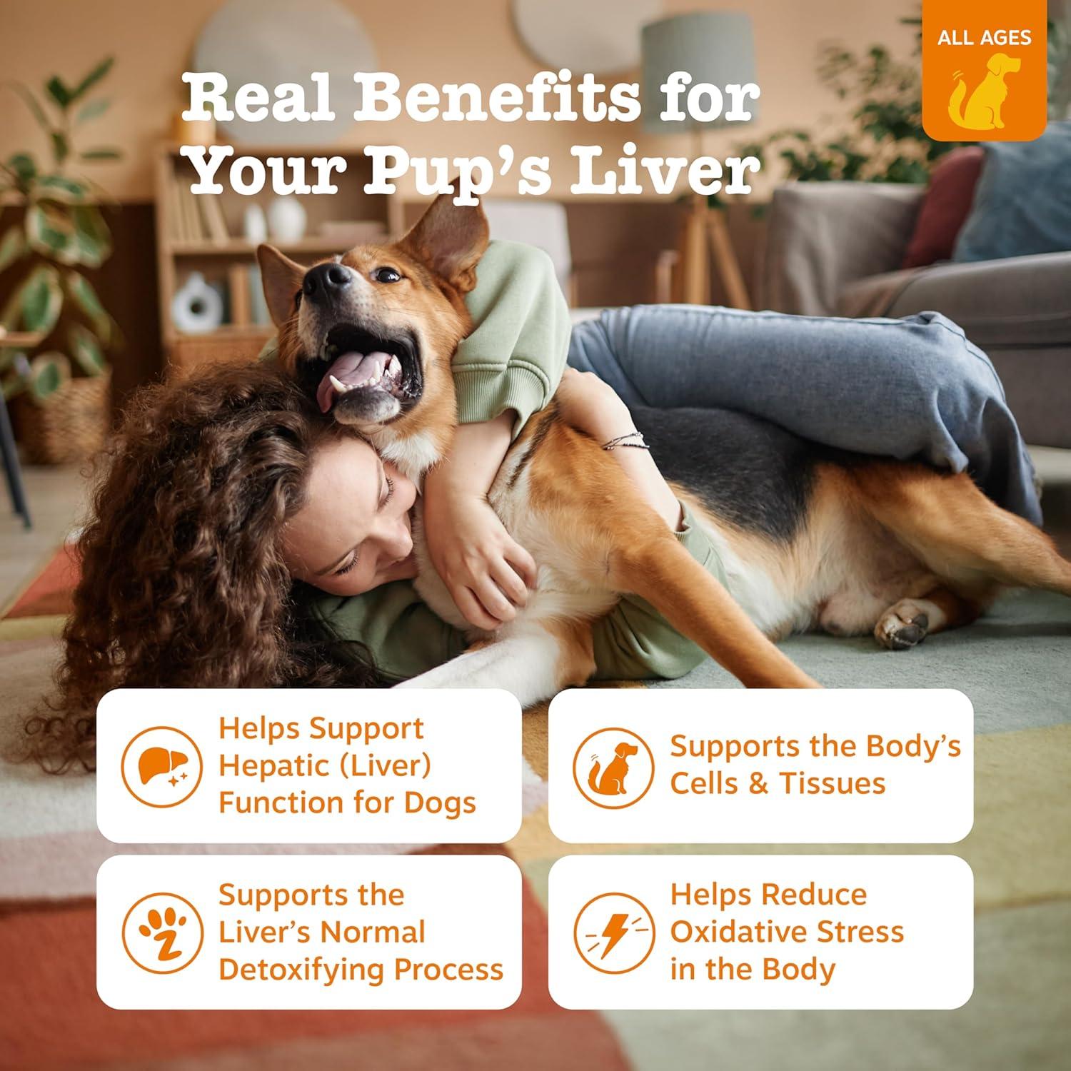 imageZesty Paws Liver Support Supplement for Dogs  with Milk Thistle Extract Turmeric Curcumin Choline  Soft Chew Formula  for Dog Liver FunctionChicken