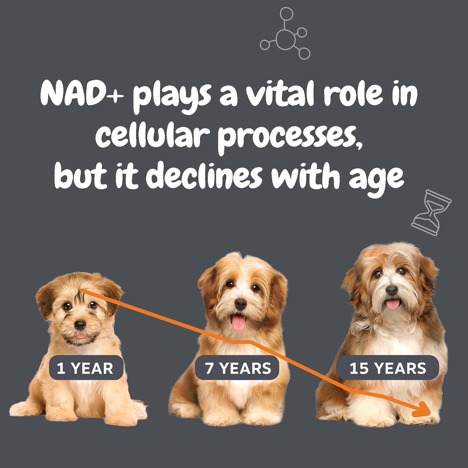 imageZesty Paws NAD Precursor Supplement for Dogs  Niagen for Healthy Aging ampamp Skeletal Muscle Support ampamp Recovery  Brain Heart ampamp Cellular Energy Support  Nicotinamide Riboside Chloride  30 SachetsSachets
