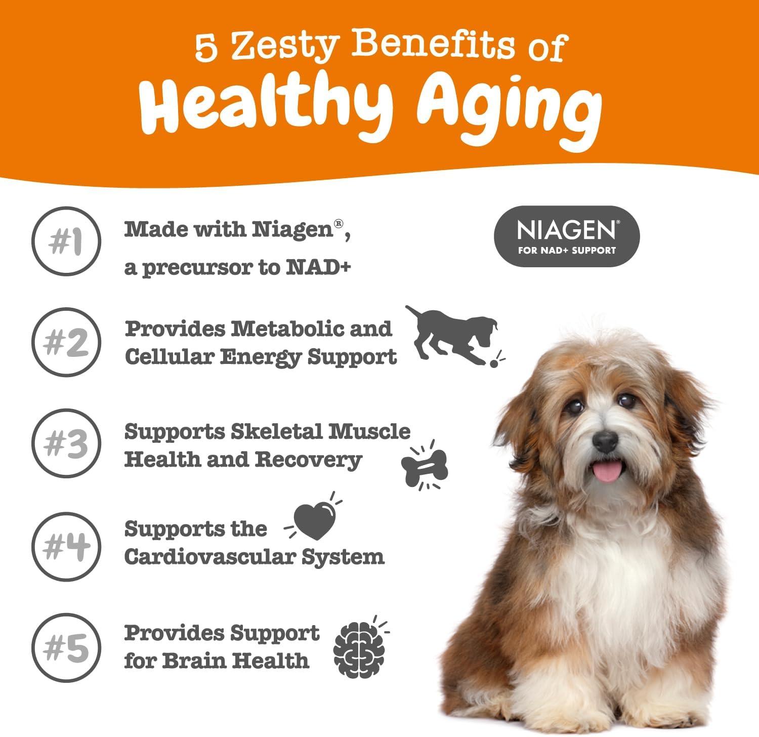 imageZesty Paws NAD Precursor Supplement for Dogs  Niagen for Healthy Aging ampamp Skeletal Muscle Support ampamp Recovery  Brain Heart ampamp Cellular Energy Support  Nicotinamide Riboside Chloride  30 SachetsSachets