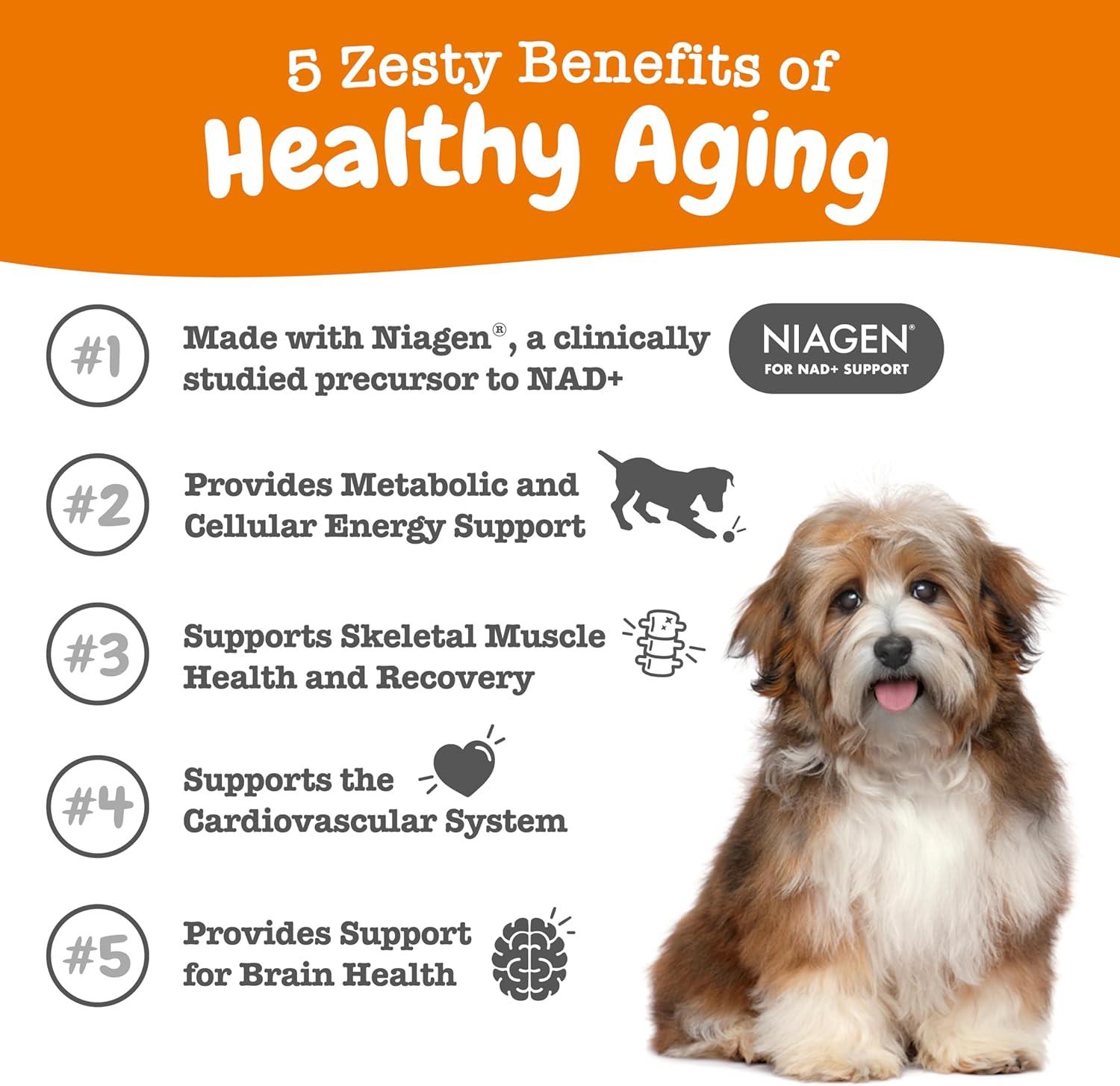 imageZesty Paws NAD Precursor Supplement for Dogs  Niagen for Healthy Aging ampamp Skeletal Muscle Support ampamp Recovery  Brain Heart ampamp Cellular Energy Support  Nicotinamide Riboside Chloride  30 SachetsCapsules