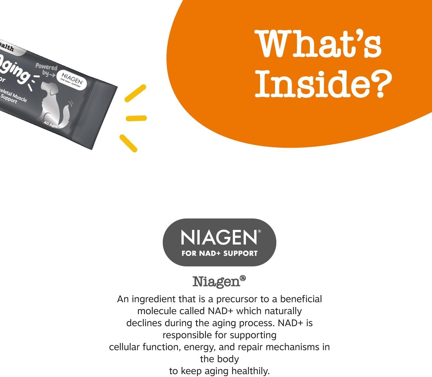 imageZesty Paws NAD Precursor Supplement for Dogs  Niagen for Healthy Aging ampamp Skeletal Muscle Support ampamp Recovery  Brain Heart ampamp Cellular Energy Support  Nicotinamide Riboside Chloride  30 SachetsSachets