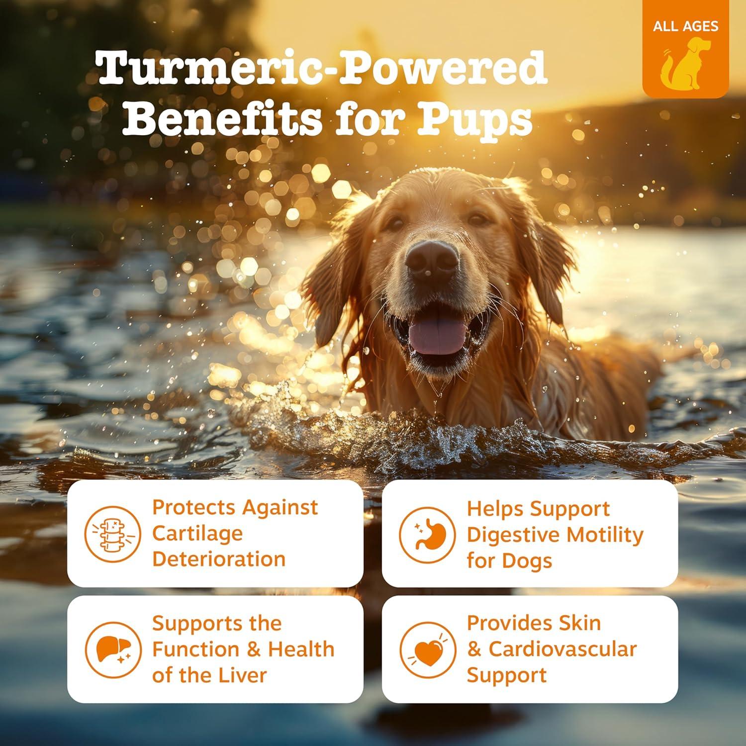 imageZesty Paws Turmeric Curcumin for Dogs  for Hip ampamp Joint Mobility Supports Canine Digestive Cardiovascular ampamp Liver Health  Coconut Oil for Skin Health with 95 Curcuminoids  BioPerine Duck 90 Count