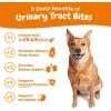 imageZesty Paws Cranberry Supplement for Dogs  Bladder Control for Dogs  Urinary Tract Support  Cranberry Chews with DMannose Vitamin B6 ampamp LArginine  Immune ampamp Gut Support  Bacon  90 CountChicken
