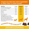 imageZesty Paws Cranberry Supplement for Dogs  Bladder Control for Dogs  Urinary Tract Support  Cranberry Chews with DMannose Vitamin B6 ampamp LArginine  Immune ampamp Gut Support  Bacon  90 CountChicken
